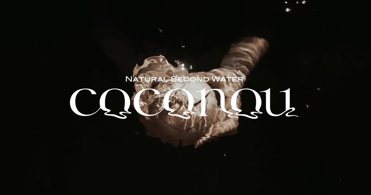 COCONOUの制作ビジュアル 1
